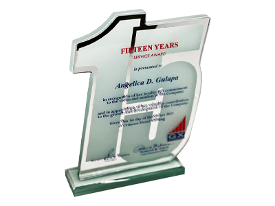 15 years plaque